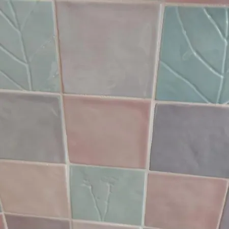 Characteristic Garibaldi باري