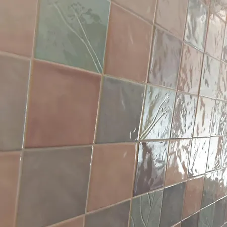 Characteristic Garibaldi * باري