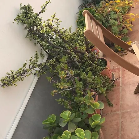 Characteristic Garibaldi Apartmán