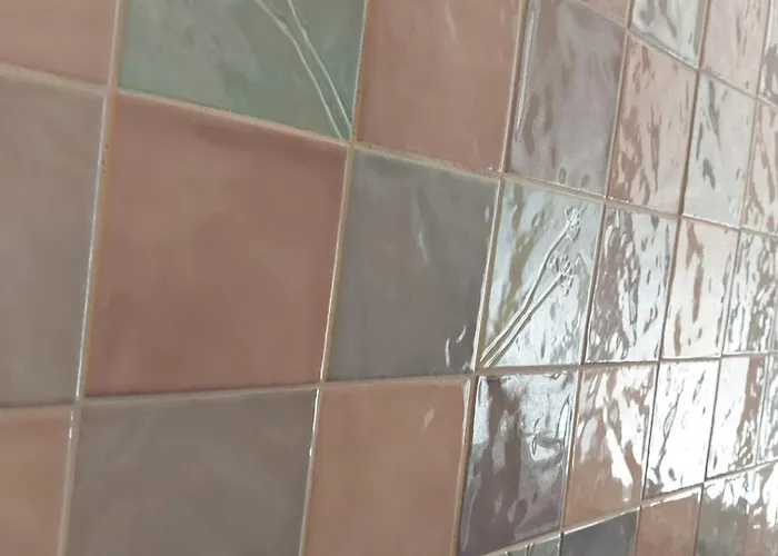 Characteristic Garibaldi * בארי