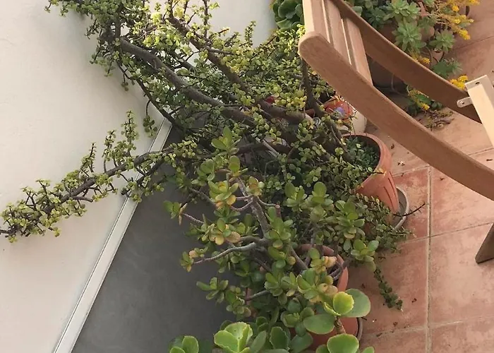 Characteristic Garibaldi דירה